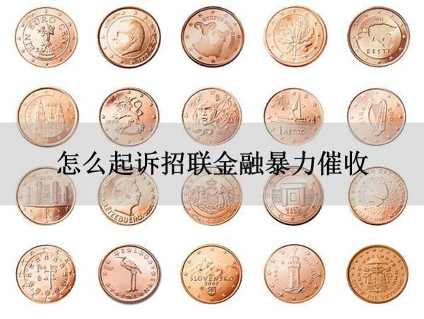 怎么起诉招联金融暴力催收
