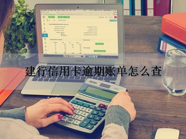 建行信用卡逾期账单
