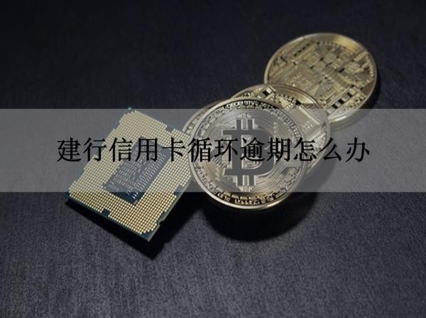 建行信用卡循环逾期
