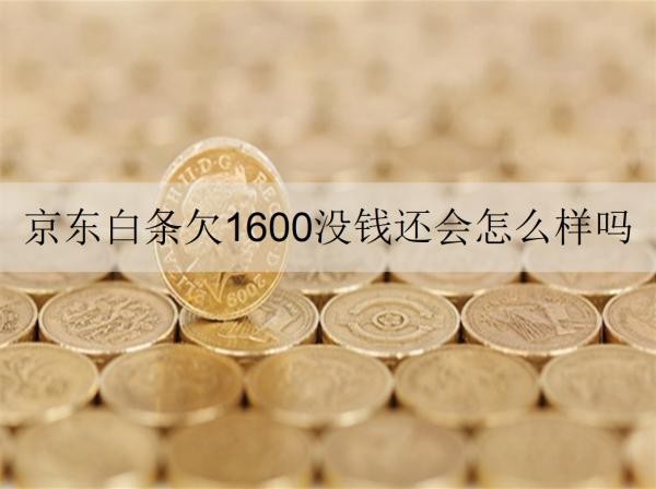 京东白条欠1600没钱还
