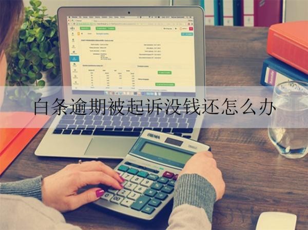 白条逾期被起诉 没钱还