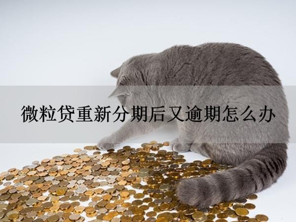 微粒贷重新分期后又逾期