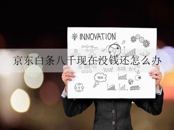 京东白条八千现在没钱还