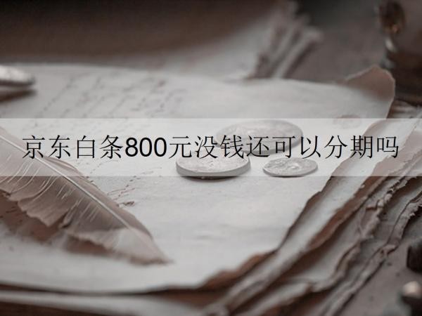 京东白条800元没钱还