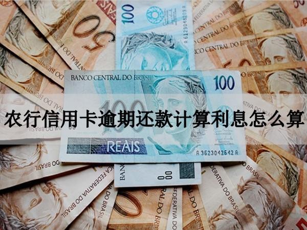 农行信用卡逾期还款计算