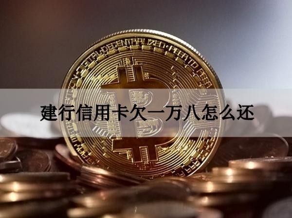 建行信用卡欠一万八