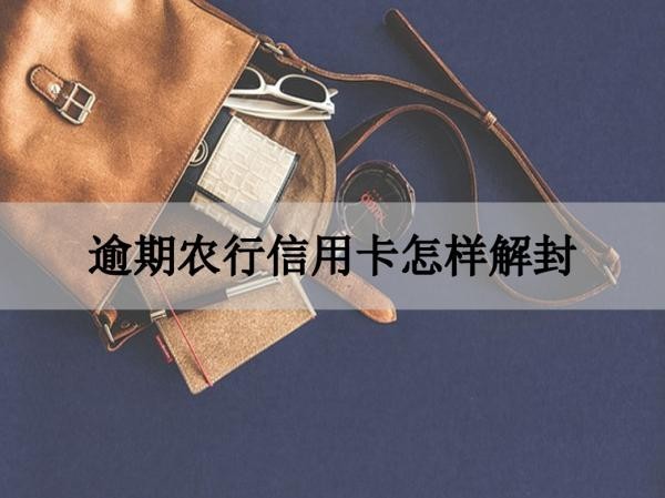 逾期农行信用卡怎样解封
