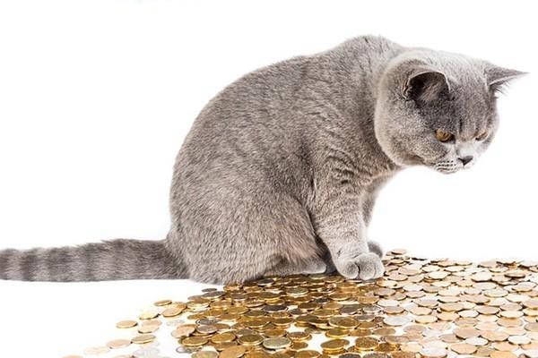微粒贷6万8还不上会咋样