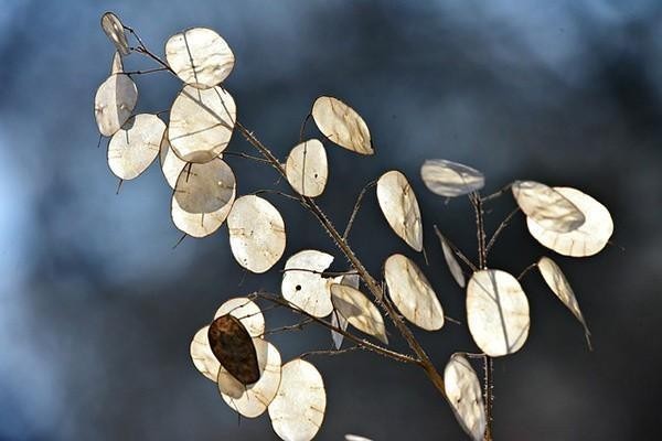 安逸花逾期利息太高该如何
