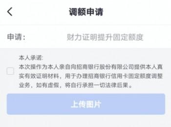 疯了吗？两个月提额两次