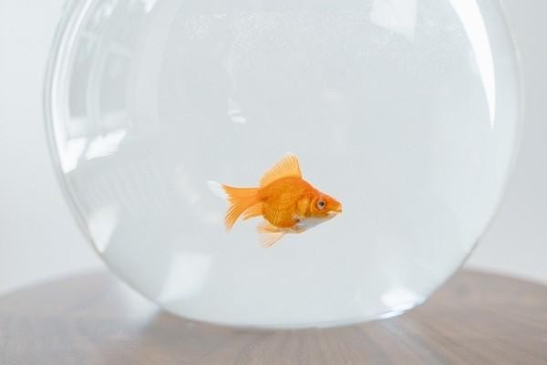 度小满催收电话打不停怎么办