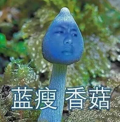 申请不到大额信用卡？蓝瘦香菇！