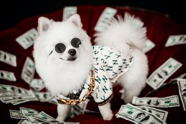 360借条没逾期能只还本金吗