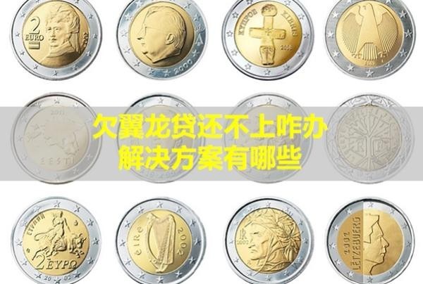 欠翼龙贷还不上咋办？解决方案有哪些？
