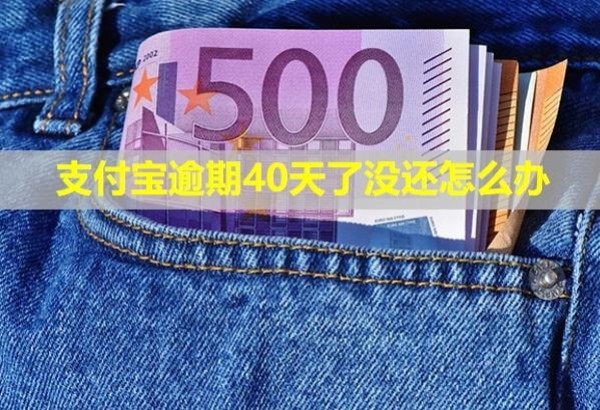 支付宝逾期40天了没还