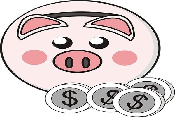 分期还本金和停息挂账的区别