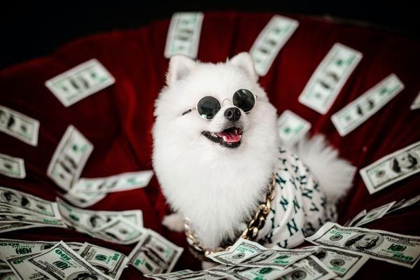 微粒贷欠款3万会立案吗