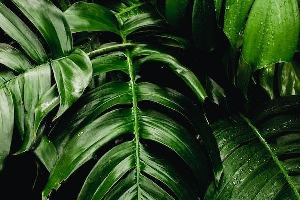 借呗逾期一年多可以申请减免利息吗