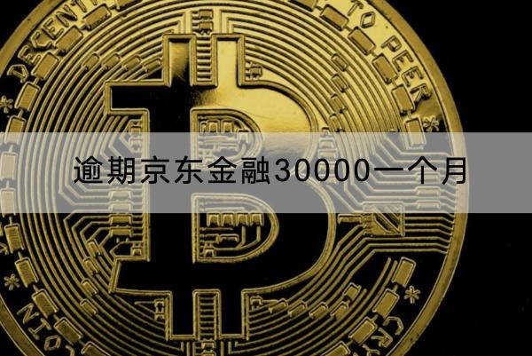 逾期京东金融30000一个月