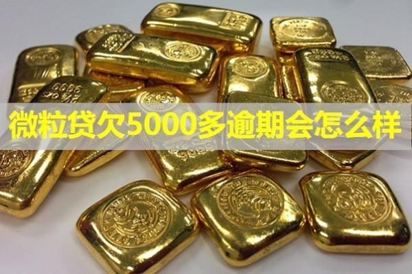 微粒贷欠5000多逾期